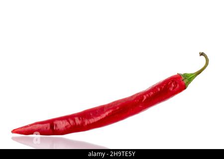 Eine Schote mit scharfem roten Pfeffer, Nahaufnahme. Isoliert auf Weiß. Stockfoto