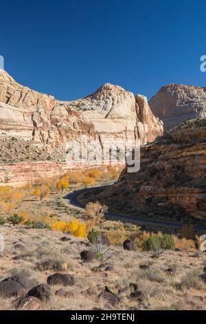 Fruita, Capitol Reef National Park, Utah, USA. Blick auf den Fremont River Canyon vom Hickman Bridge Trail aus, im Herbst mit Baumwollbäumen. Stockfoto