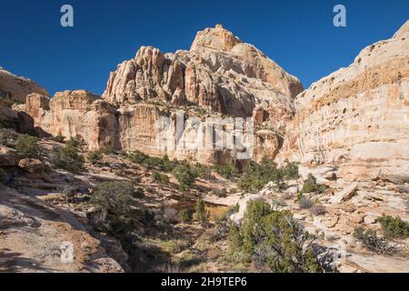 Fruita, Capitol Reef National Park, Utah, USA. Blick auf die steilen, schroffen Klippen des Waterpocket Fold vom Hickman Bridge Trail im Herbst. Stockfoto