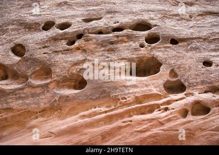 Fruita, Capitol Reef National Park, Utah, USA. Blick vom Capitol Gorge Trail auf typische Wassertaschen in der steilen Canyon-Wand. Stockfoto