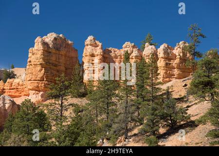 Bryce Canyon National Park, Utah, USA. Blick vom Mossy Cave Trail auf typische Sandsteinkritze, die über dem Tropic Graben im Water Canyon thronen. Stockfoto