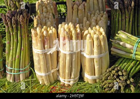 Spargel, Sparrow Gras, Spargel (Spargel officinalis), grüner und weißer Spargel zu verkaufen, Italien Stockfoto