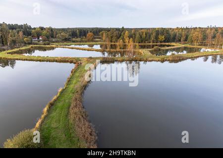 vie of Tirschenreuther Teichpfanne aus Himmelsleiter, Deutschland, Bayern, Oberpfalz, Tirschenreuth Stockfoto