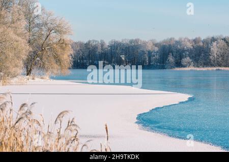 Wunderschöne weiße Winterlandschaft mit gefrorenem See, Schilf und Wald mit weißen Bäumen, die von Frost und Schnee bedeckt sind Stockfoto