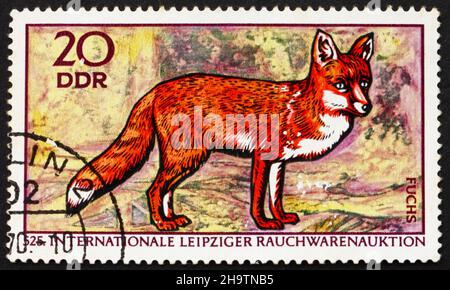 DDR - UM 1970: Eine in der DDR gedruckte Briefmarke zeigt Red Fox, Vulpes Vulpes, 525th International fur Auctions, Leipzig, um 1970 Stockfoto