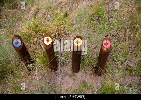 Vier Holzpfosten mit unterschiedlich farbigen Pfeilen, die in verschiedene Richtungen zeigen Stockfoto