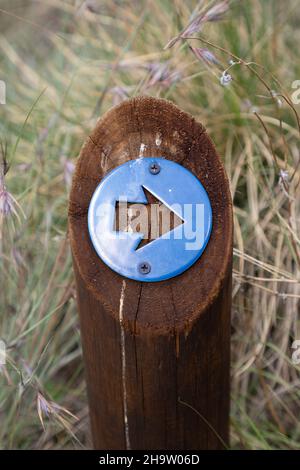 Blauer Kunststoffpfeil auf einem Holzmast montiert Stockfoto