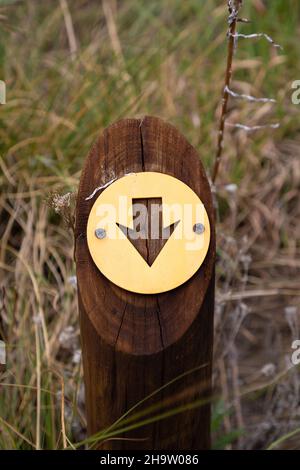 Gelber Pfeil auf einem Holzmast. Der Pfeil zeigt nach unten Stockfoto