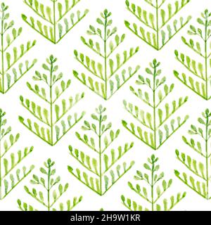 Gren hinterlässt ein abstraktes Muster auf weißem Hintergrund Stockfoto