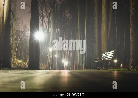 Leere Parkallee in einer nebligen Nacht im Spätherbst Stockfoto