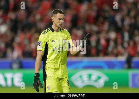 Lissabon, Portugal. 08th Dez 2021. Odisseas Vlachodimos Torwart von SL Benfica während des UEFA Champions League Gruppe E-Spiels zwischen SL Benfica und FK Dynamo Kiew am 8th. Dezember 2021 im Estadio da Luz, Lissabon. Portugal Valter Gouveia/SPP Quelle: SPP Sport Press Foto. /Alamy Live News Stockfoto