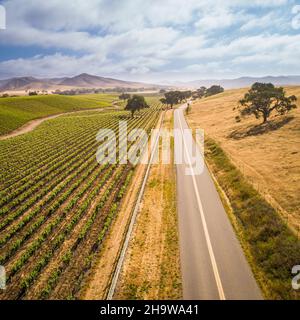 Luftaufnahme der Weinberge entlang der Happy Canyon Road im Santa Ynez Valley, Kalifornien Stockfoto