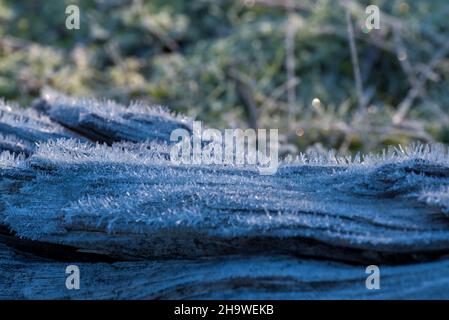 Eiskristalle auf einem Stück Holz. Stockfoto