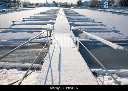 Leerer Yachthafen im Winter Stockfoto