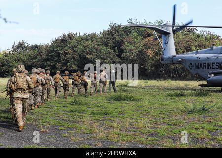 Soldaten der US-Armee aus 2nd Squadron, 14th Kavallerie-Regiment, 25th Infanterie-Division und US-Marines aus 3rd Bataillon, 3rd Marine-Regiment besteigen einen Sikorsky CH-53E Superhengst während einer Trainingsübung auf der Bellows Air Force Station, Hawaii, 30. November 2021. Die Übung zur Einsatzbereitschaft diente dazu, die Fähigkeiten einer gemeinsamen Kraft kurzfristig zu trainieren und zu testen. (USA Armee-Foto von SPC. Darbi Colson, 28th Abteilung für öffentliche Angelegenheiten.) Stockfoto