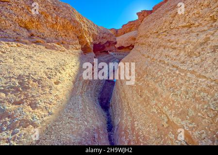 Ein Slot Canyon entlang der Cathedral Wash im Glen Canyon Recreation Area Arizona. Dieser Canyon endet am Colorado River. Stockfoto