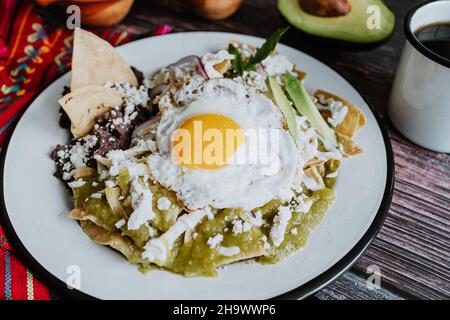 Mexikanische grüne Chilaquiles mit Spiegelei, Huhn und würziger grüner Sauce traditionelles Frühstück in Mexiko Stockfoto