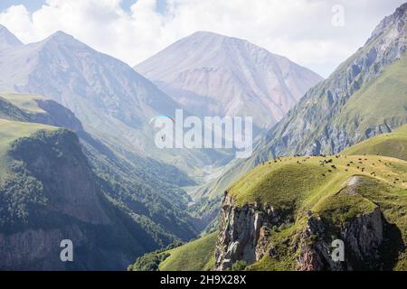 Menschen mit einem Gleitschirm fliegen über eine Bergschlucht, an deren Grund ein Fluss fließt. Eine Herde Kühe grast auf einer Almwiese. Sonniges Wetter mit Stockfoto
