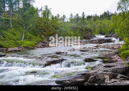 Bergfluss mit Felsen und Wasserfällen im Wald in Norwegen Stockfoto