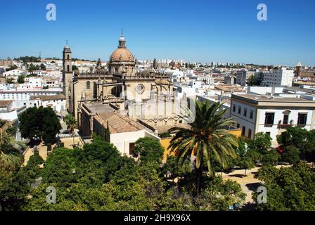 Kathedrale von Salvador und der Glockenturm des Palacio del Marques de Bertemati, Jerez de la Frontera, Spanien. Stockfoto