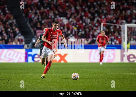 Lissabon, Portugal. 08th Dez 2021. Roman Yaremchuk von SL Benfica im Einsatz während des UEFA Champions League-Fußballspiels der Gruppe E zwischen SL Benfica und dem FC Dynamo Kiew im Luz-Stadion.Endstand; SL Benfica 2:0 FC Dynamo Kiew. (Foto von Henrique Casinhas/SOPA Images/Sipa USA) Quelle: SIPA USA/Alamy Live News Stockfoto