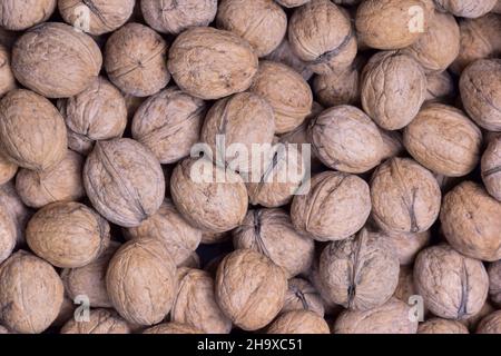 Viele Walnüsse in der Schale, nicht geschält, sind in der Nähe über den Rahmen verstreut Stockfoto