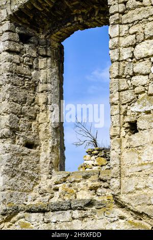 Verfallene antike Synagoge. Blick auf den Himmel durch das Bogenfenster. Der Baum wächst an der Wand. Die Textur des alten verfallenen Mauerwerks. Ausschlag Stockfoto