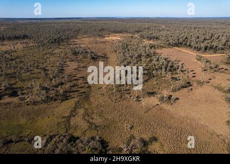 Luftaufnahme des Nationalparks el Palmar, in Entre Rios. Argentinien Stockfoto