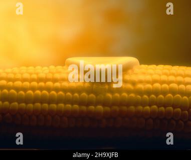 Butter schmilzt auf vier Ähren Mais Stockfoto