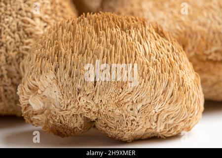 Getrocknete Löwenmähnchen oder Hericium Erinaceus werden auch Bartzahnpilz genannt. Stockfoto