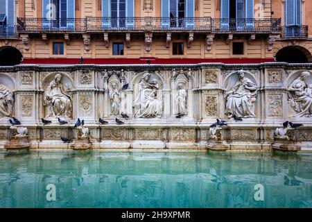 Gaia-Brunnen auf der Piazza del Campo. Siena. Italien. Stockfoto