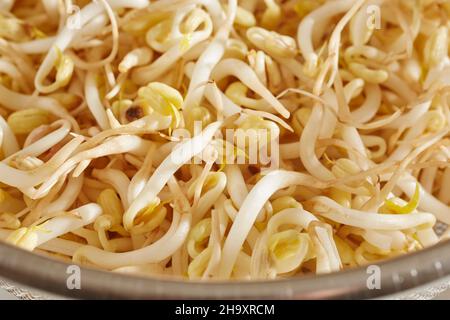 Rohe, frische Sojabohnen (Nahaufnahme) Stockfoto