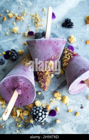 Hausgemachtes Heidelbeer- und Brombeereis auf einem Stock Stockfoto