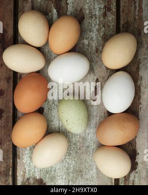 Frische Eier in verschiedenen Farben auf einem Holzhintergrund Stockfoto