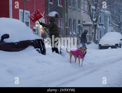 Halifax, Nova Scotia, Kanada. 9th. Dezember 2021. Halifax erwacht langsam nach seinem ersten Schneesturm der Saison, der jetzt über 20cm Schnee hinterlassen hat, und macht extrem schwierige Lauf- und Fahrbedingungen und zusätzliche Arbeit, um das Auto in Schneebänken begraben zu räumen Stockfoto