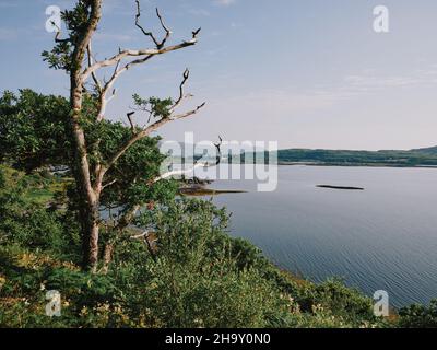 Blick südöstlich von der Isle of Mull über Loch Na Keal zur Insel Ulva in den Inneren Hebriden, Argyll & Bute, Schottland Großbritannien - Baum loch Land Stockfoto