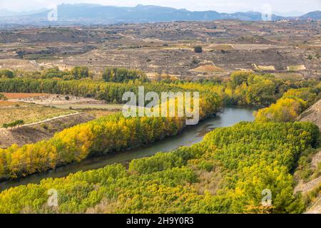 Blick über die Landschaft mit Weinreben- und Baumfeldern entlang des Ebro-Flusses, San Vicente de la Sonsierra, La Rja, Spanien Stockfoto