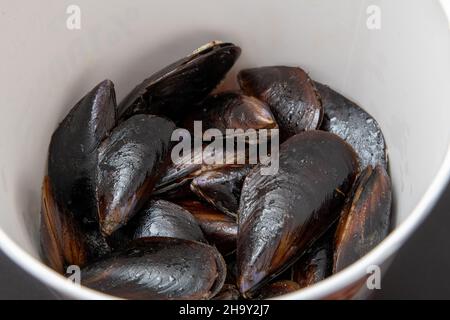 Frisch gefüllte Muscheln im Eimer auf dunklem Steingrund Stockfoto