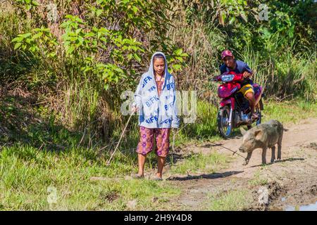 BOHOL ISLAND, PHILIPPINEN - 11. FEBRUAR 2018: Einheimische Frau spaziert mit einem Schwein auf Bohol Island, Philippinen Stockfoto