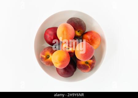 Draufsicht auf frische, ganze Pfirsiche, Nektarinen und Aprikosen in einer weißen Porzellanschüssel isoliert auf Weiß. Stockfoto