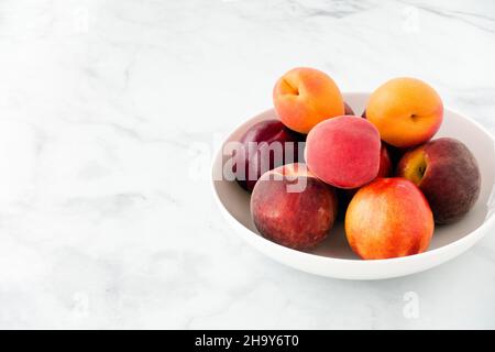 Nahaufnahme von frischen Nektarinen, Aprikosen und Pfirsichen in einer weißen Porzellanschüssel auf weißem Marmorboden mit viel Platz zum Kopieren. Low-Angle-Ansicht. Stockfoto