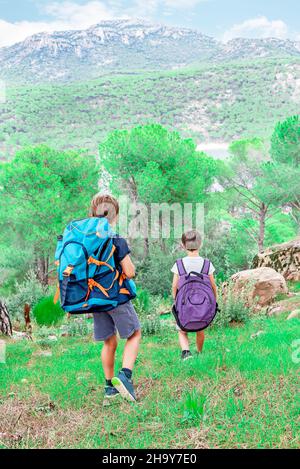 Zwei junge Wanderer wandern mit ihren Rucksäcken im Busch. Pfadfinder wandern im Wald Stockfoto