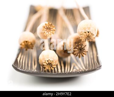 Poppy, viele, Holz, Hintergrund, Meditation, Nahe, Schale, weiß, Spa, Blumenarrangement, Entspannung, weiß, weiß, getrocknet, trocken, Getrocknet, schön, rund, Samen Stockfoto