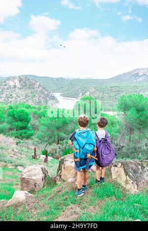 Zwei Wanderkinder mit ihren Rucksäcken blicken mitten im Busch auf den Horizont und betrachten die Landschaft. Pfadfinder wandern im Wald Stockfoto