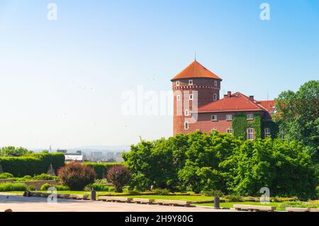 Sandomierz Turm des Wawel-Schlosses in Krakau. Blick vom Innenhof des Schlosses Stockfoto