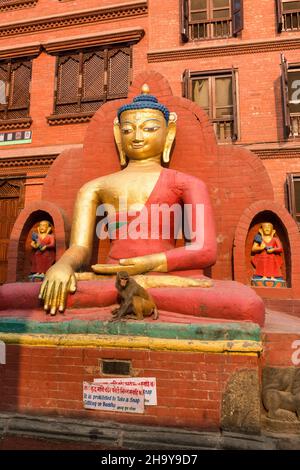 Ein Rhesus-Makak vor einer Buddha-Statue im Swayambhunath-Tempelkomplex in Kathmandu, Nepal. Stockfoto