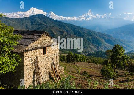 Ein traditionelles nepalesisches Bauernhaus aus Stein mit einem Schiefer-Ziegeldach im Himalaya-Vorgebirgsdorf Dhampus, Nepal. Im Hintergrund sind Annap Stockfoto