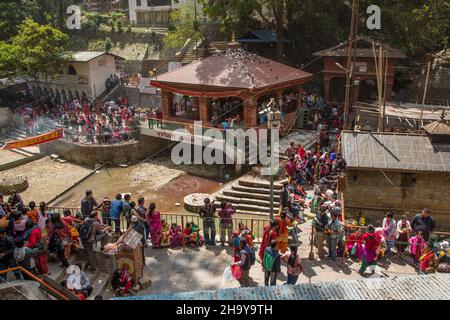 Reihen von Gläubigen warten darauf, dem Priester im Dakshinkali-Tempel in Pharping, Nepal, ein Opfer darzubringen. Stockfoto