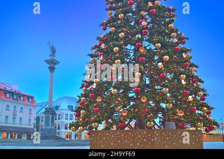 Weihnachtsbaum auf dem Schlossplatz in Warschau, bei Tagesanbruch. Stockfoto