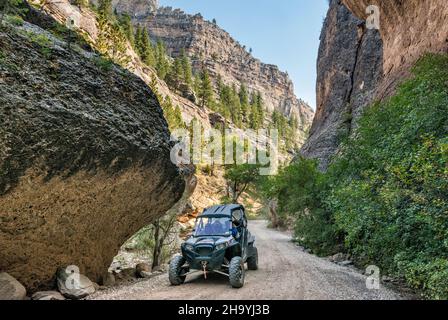 UTV im Crazy Woman Canyon, Bighorn National Forest, in der Nähe von Buffalo, Wyoming, USA Stockfoto